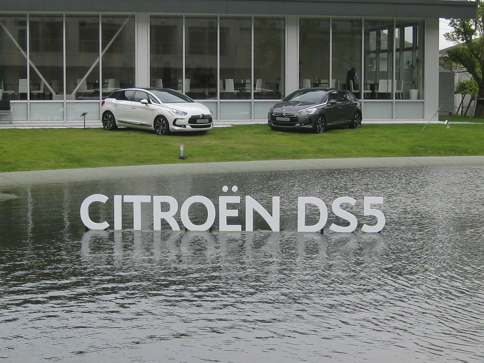 DS5