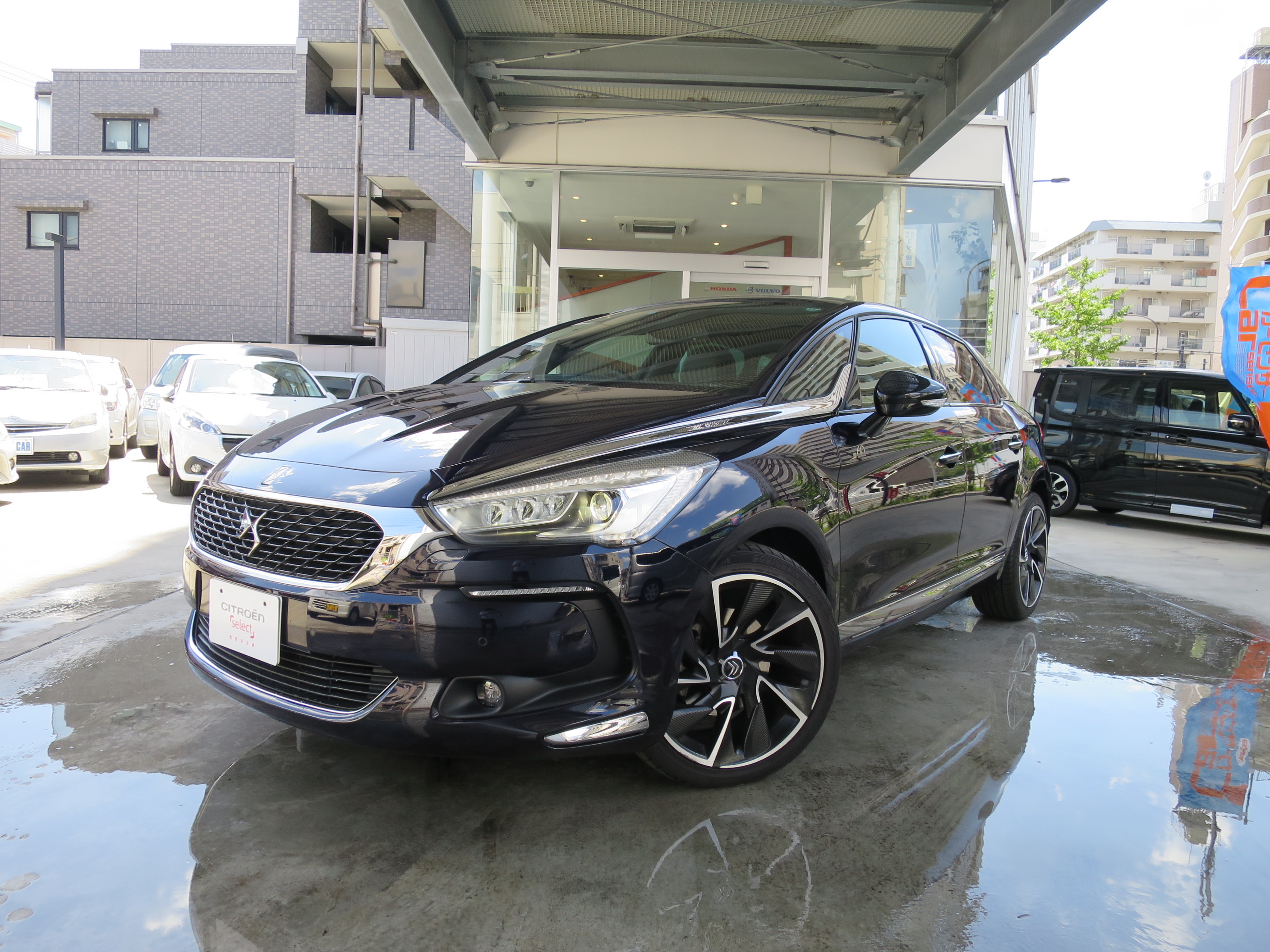 特選中古車情報「DS5エディション1955」