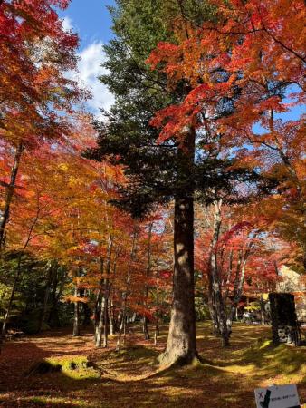 軽井沢旅行