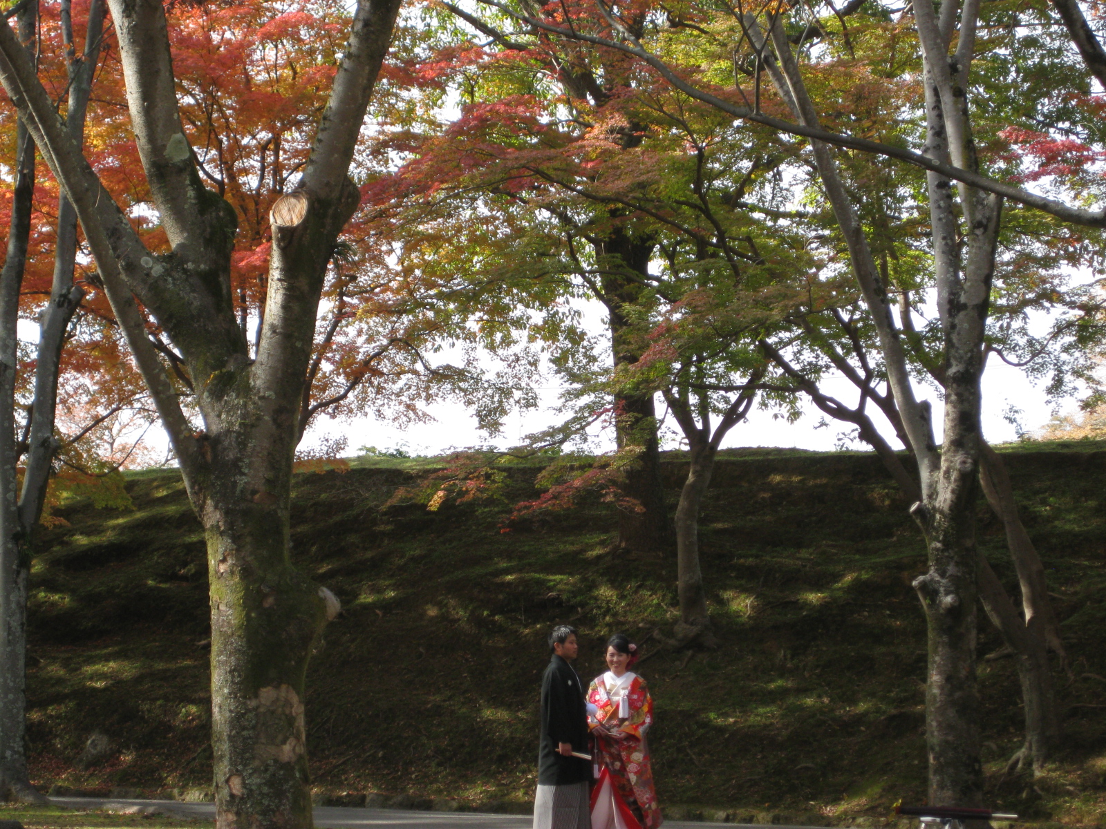 世界遺産　白鷺城