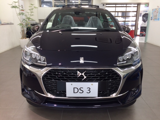 DS3モノグラムトップ入荷！