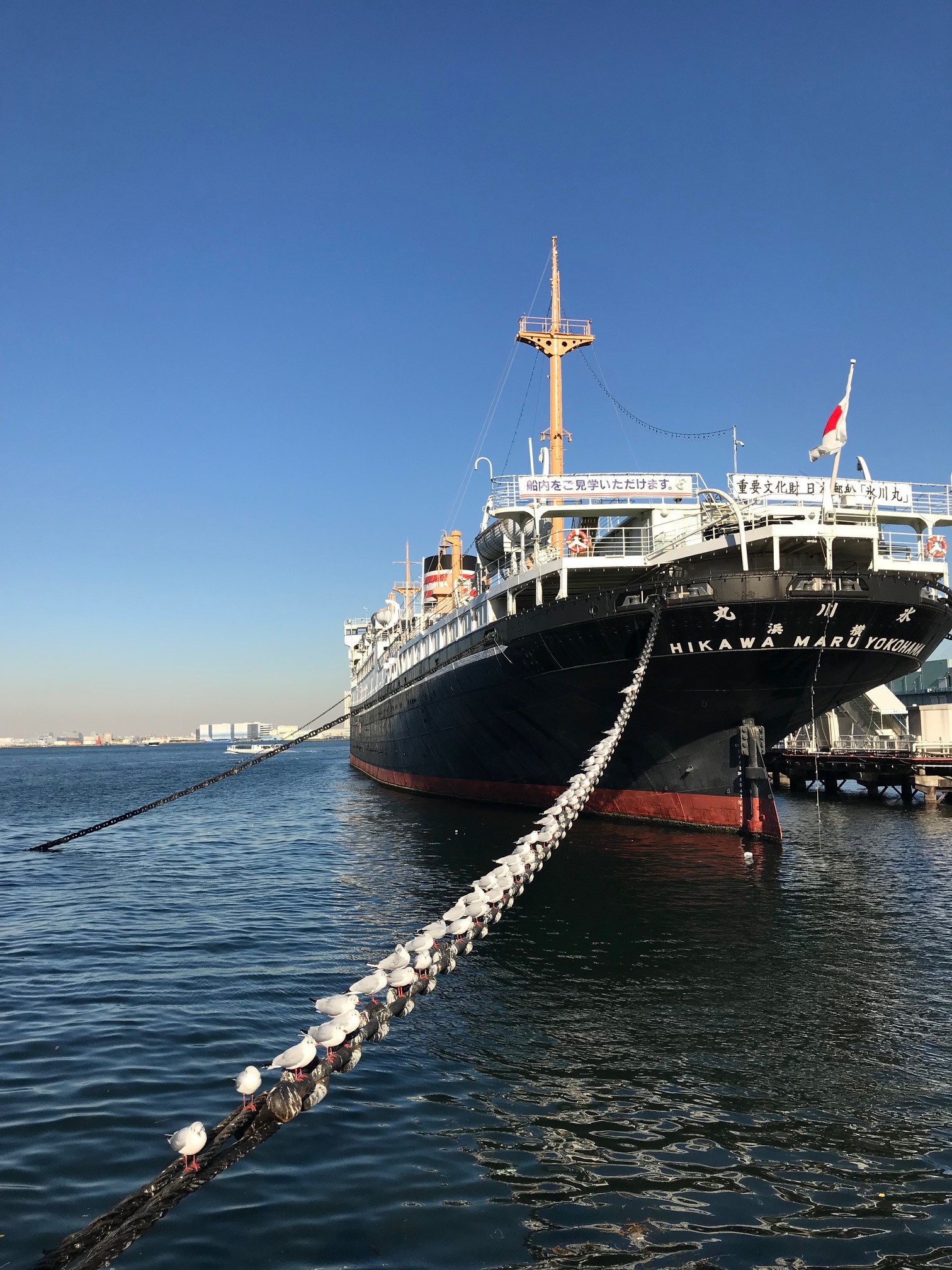 横浜山下公園