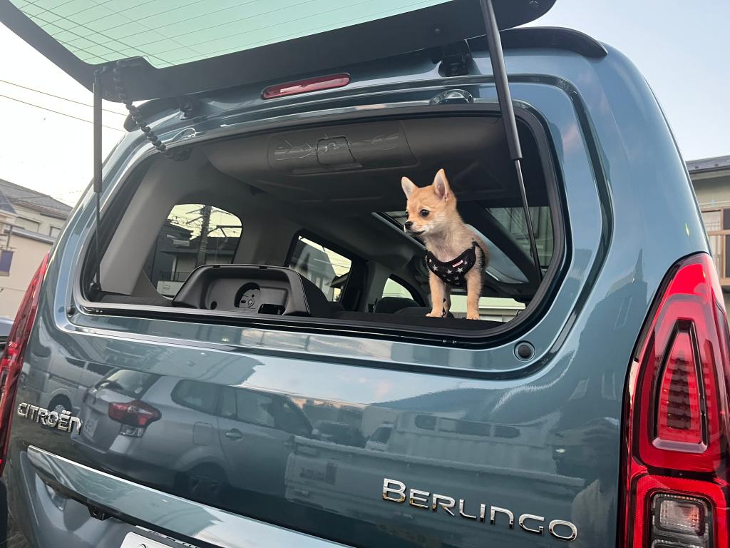 NEW　BERLINGO　納車しました！